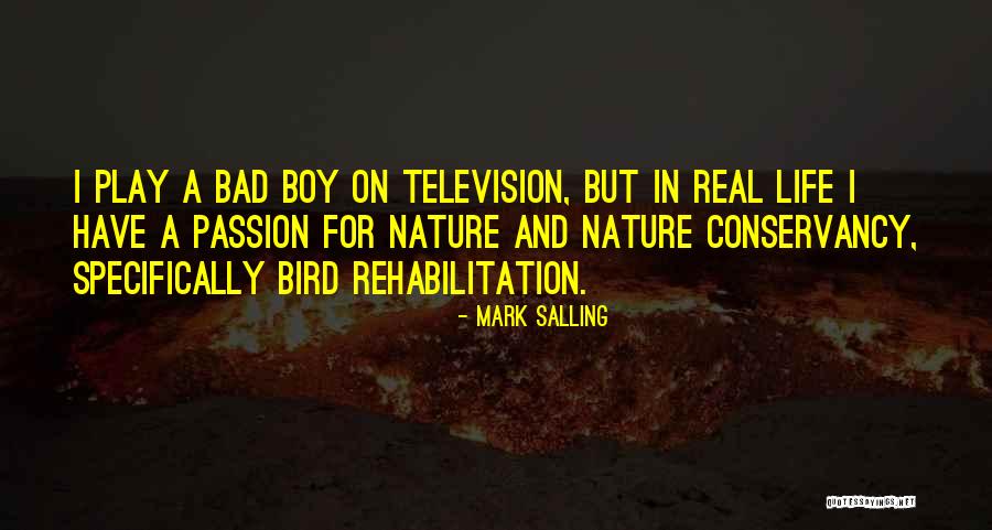 Boy And Nature Quotes By Mark Salling