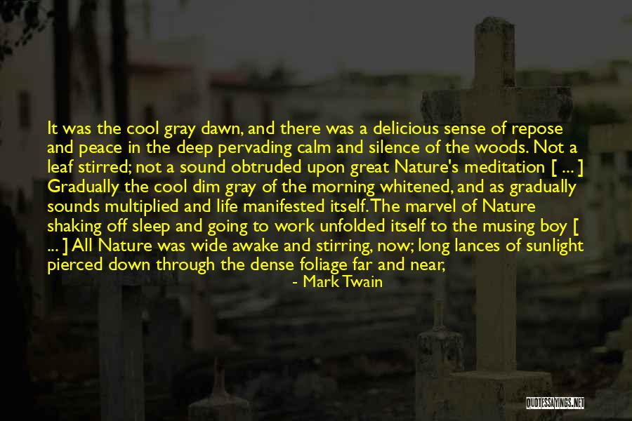 Boy And Nature Quotes By Mark Twain Boy And Nature Quotes By Mark Twain