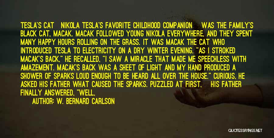 Boy And Nature Quotes By W. Bernard Carlson