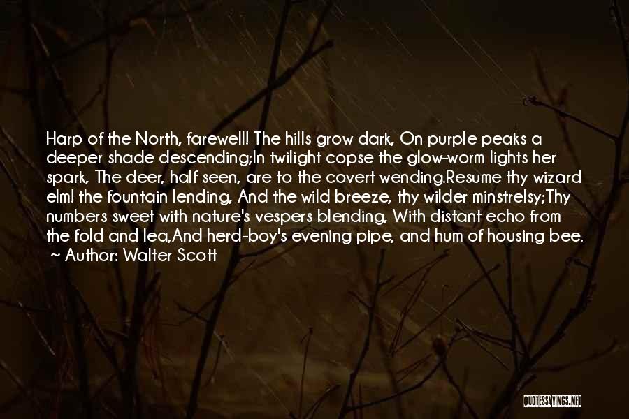 Boy And Nature Quotes By Walter Scott