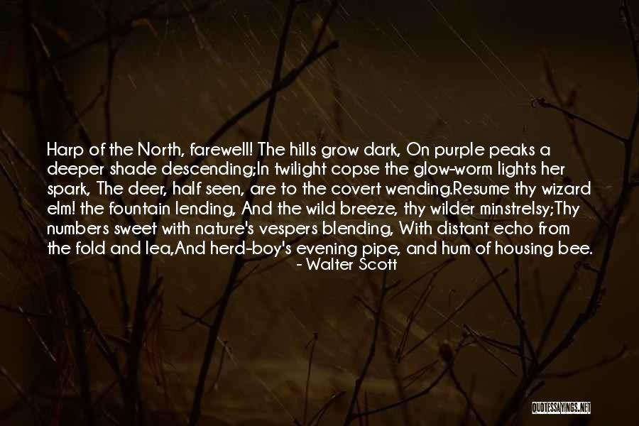 Boy And Nature Quotes By Walter Scott