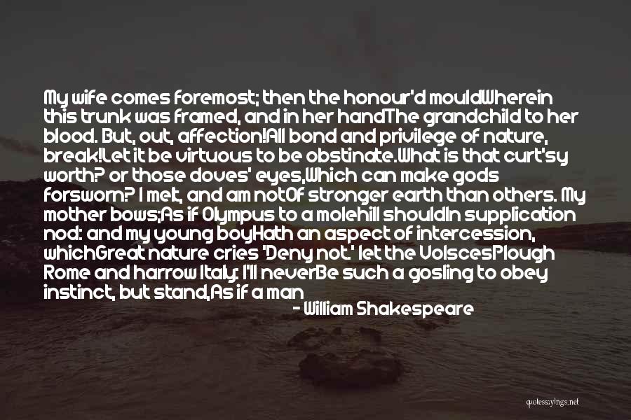 Boy And Nature Quotes By William Shakespeare