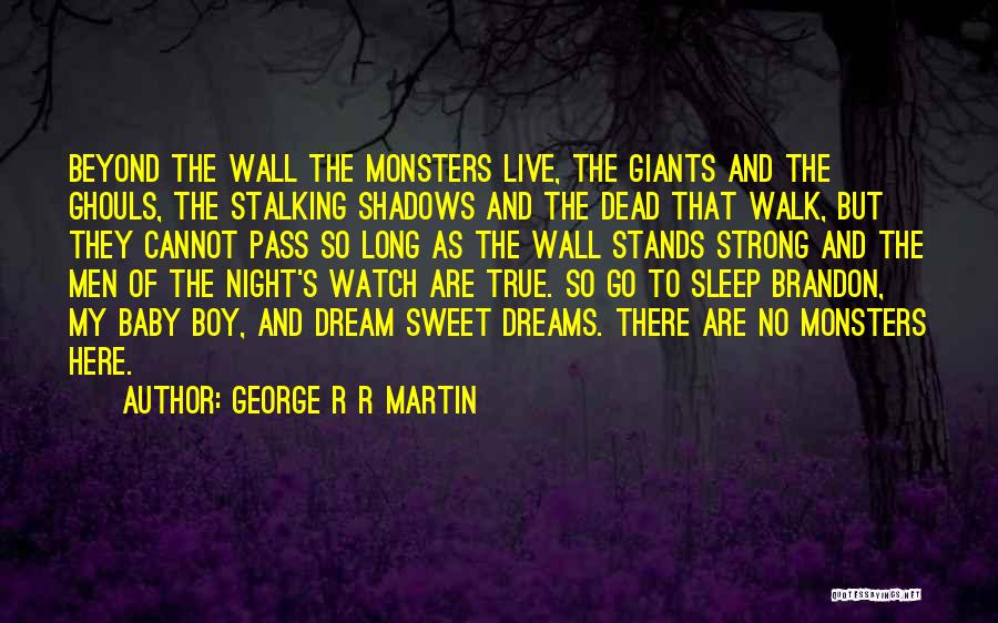 Boy Baby Quotes By George R R Martin