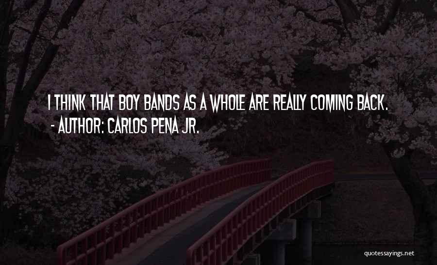 Boy Bands Quotes By Carlos Pena Jr.