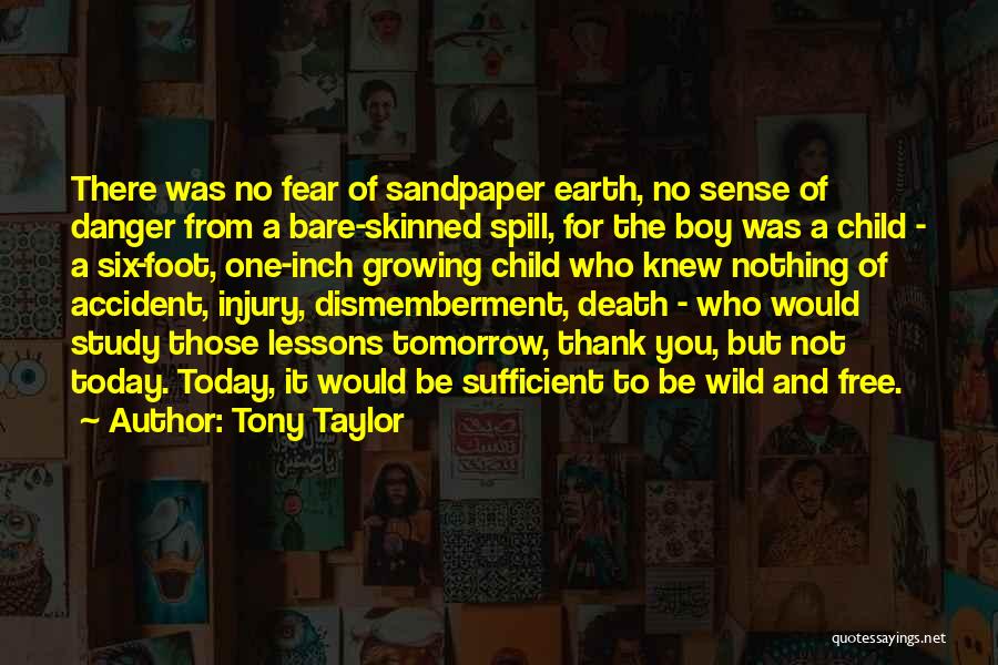 Boy Child Quotes By Tony Taylor