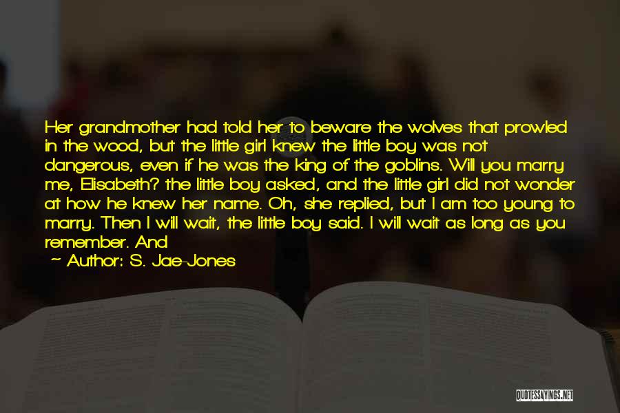 Boy Girl Boy Girl Quotes By S. Jae-Jones