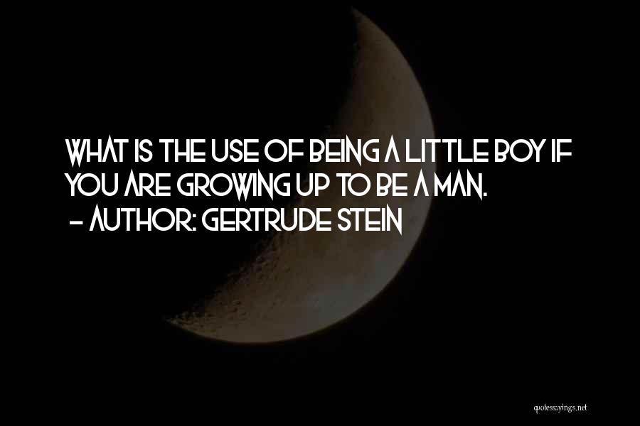 Boy Growing Into A Man Quotes By Gertrude Stein
