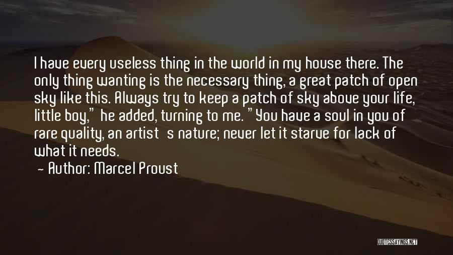 Boy In Nature Quotes By Marcel Proust