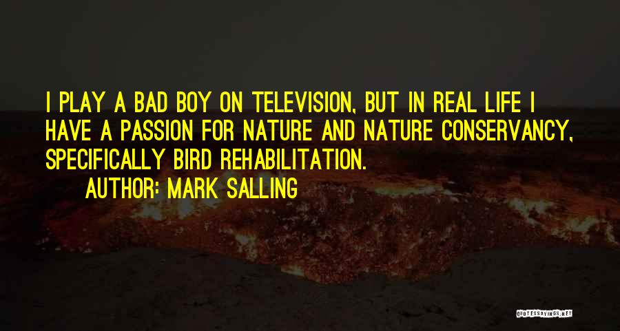 Boy In Nature Quotes By Mark Salling