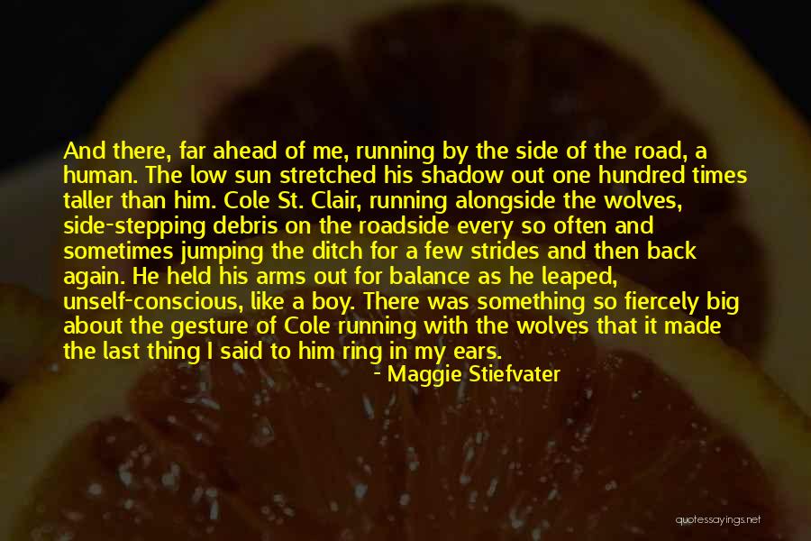 Boy In The Road Quotes By Maggie Stiefvater Boy In The Road Quotes By Maggie Stiefvater
