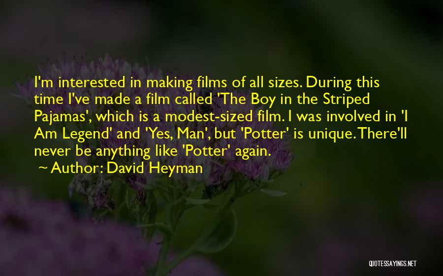 Boy In The Striped Pajamas Quotes By David Heyman