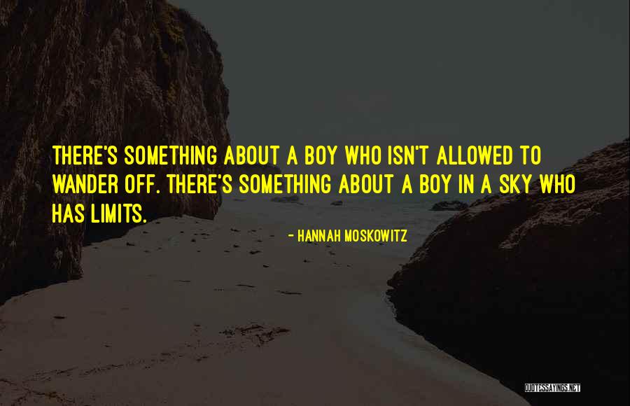 Boy Love Quotes By Hannah Moskowitz