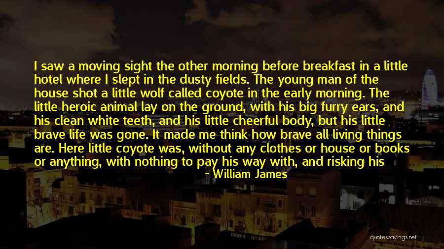 Boy Pick Up Quotes By William James Boy Pick Up Quotes By William James