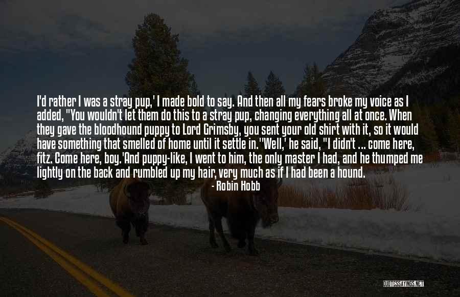 Boy Robin Quotes By Robin Hobb Boy Robin Quotes By Robin Hobb
