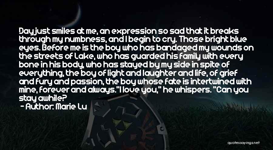 Boy Sad Quotes By Marie Lu