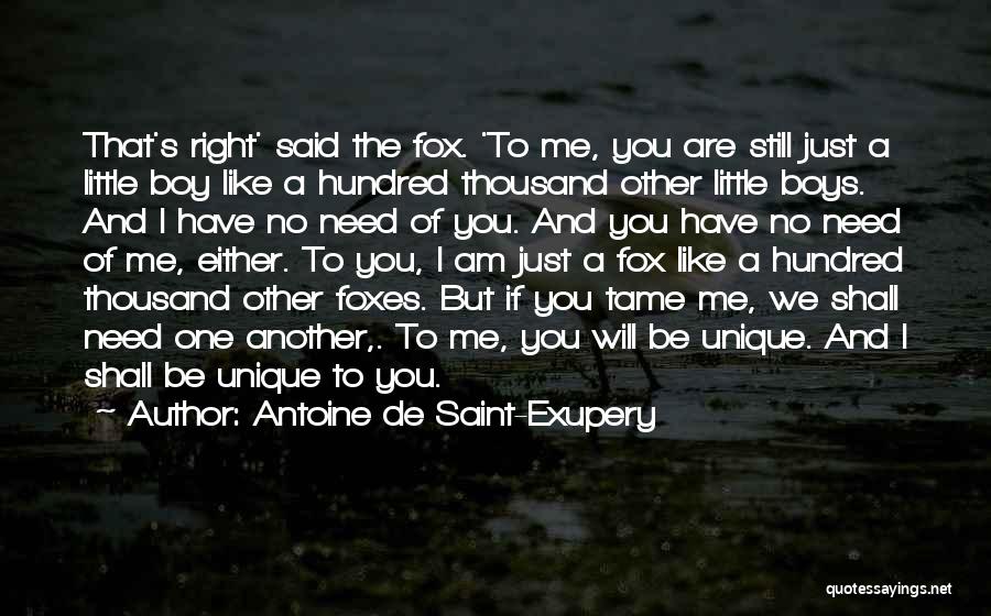 Boy That You Like Quotes By Antoine De Saint-Exupery