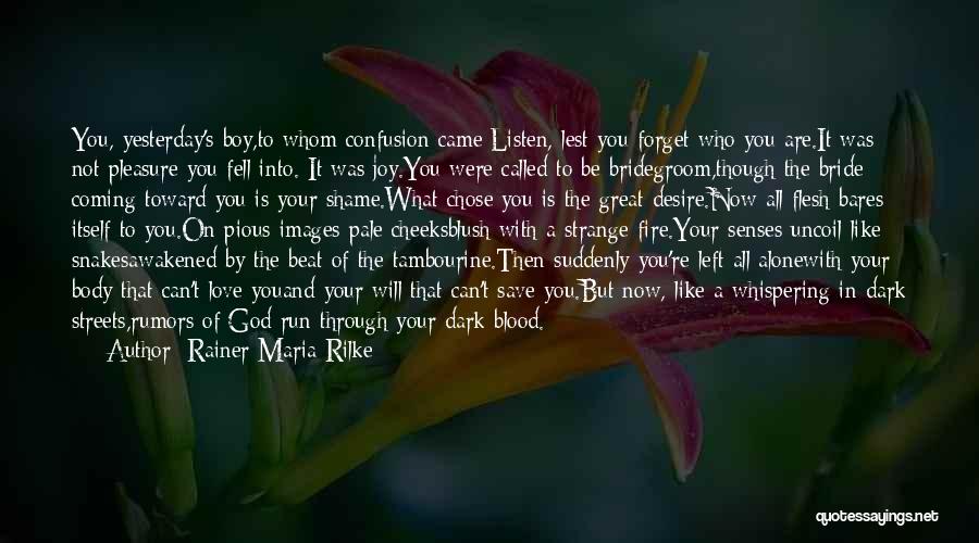 Boy That You Like Quotes By Rainer Maria Rilke