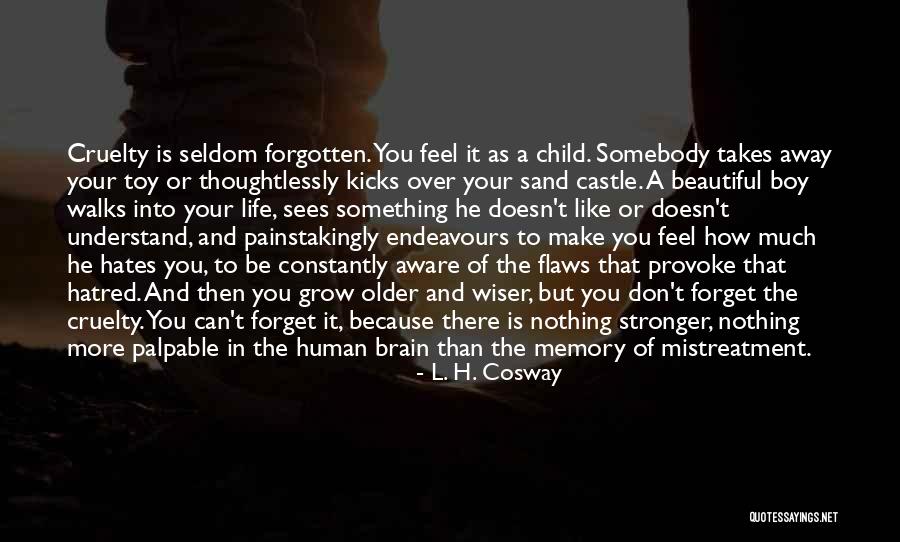 Boy Toy Quotes By L. H. Cosway Boy Toy Quotes By L. H. Cosway