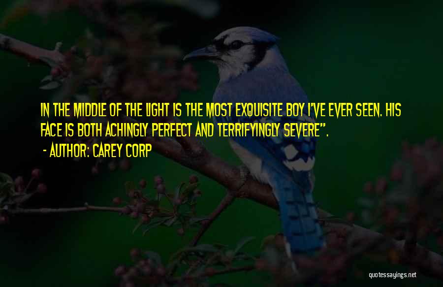 Boy You Are Perfect Quotes By Carey Corp