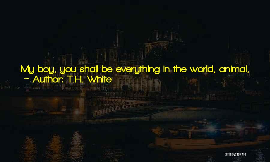 Boy You're My Everything Quotes By T.H. White