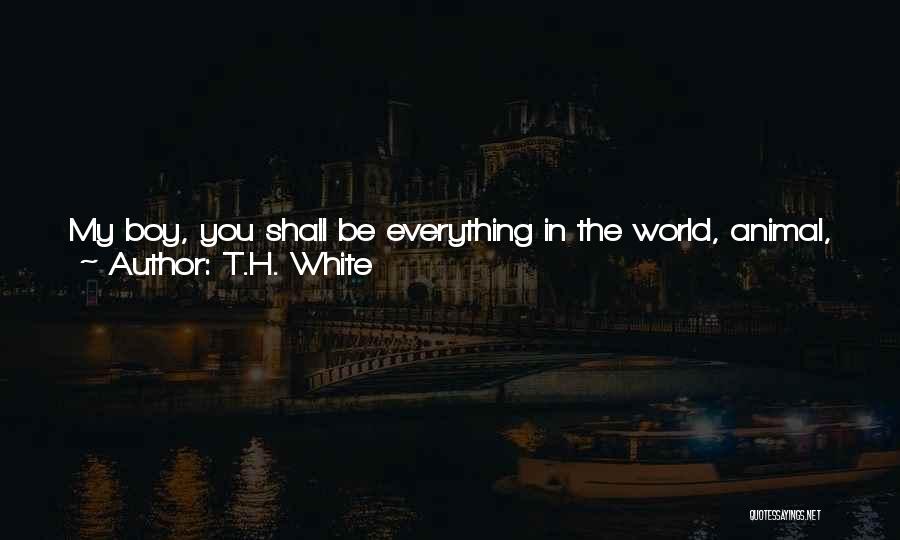 Boy You're My World Quotes By T.H. White
