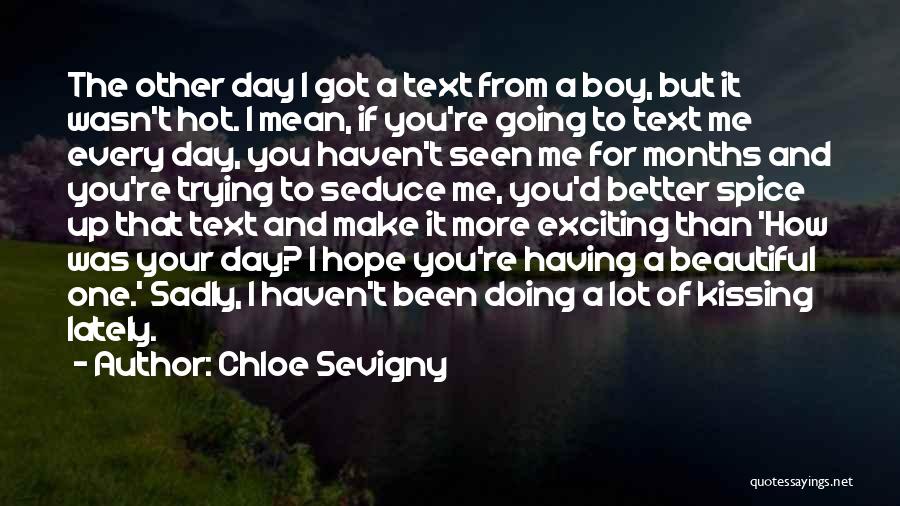 Boy You're So Hot Quotes By Chloe Sevigny