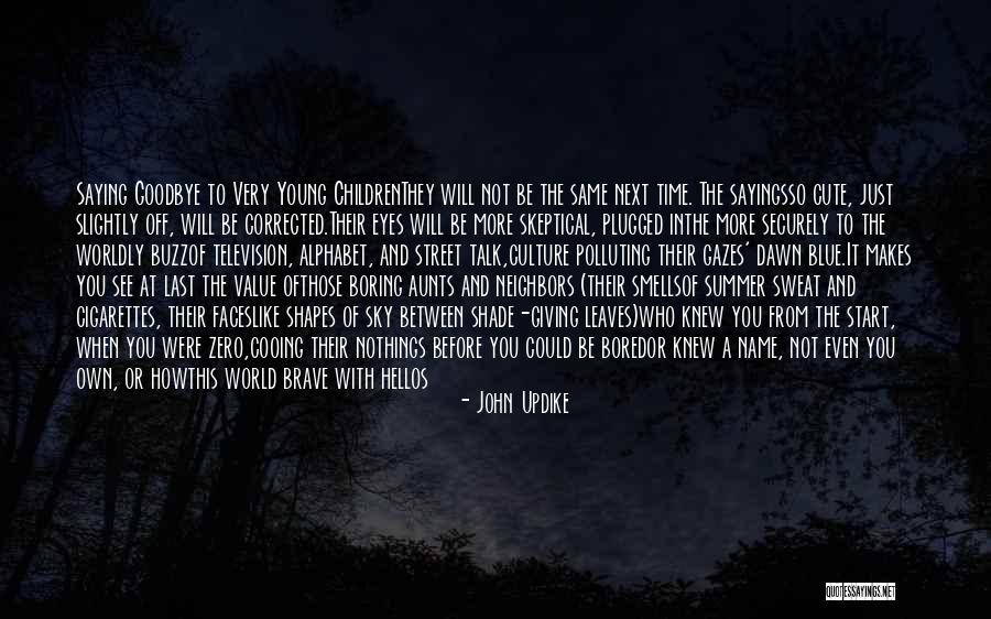 Boyalar Renkler Quotes By John Updike Boyalar Renkler Quotes By John Updike