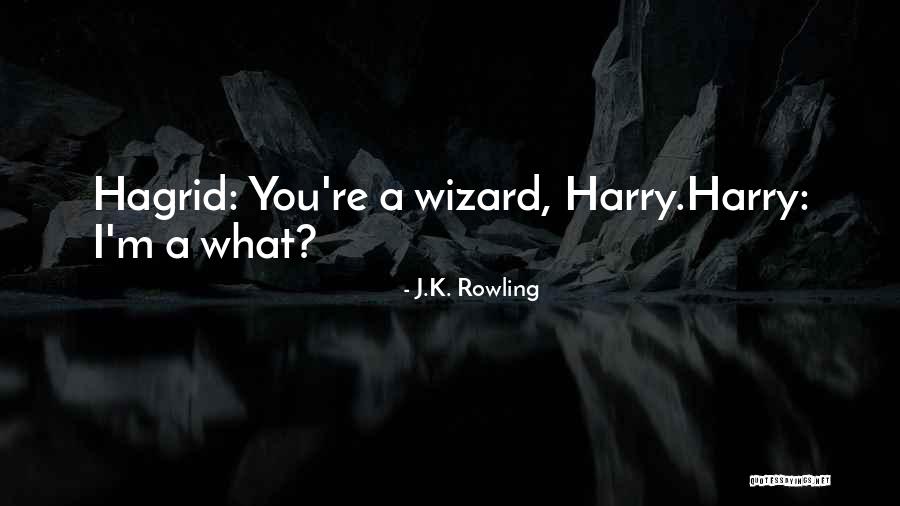 Boyarsky Restaurant Quotes By J.K. Rowling Boyarsky Restaurant Quotes By J.K. Rowling