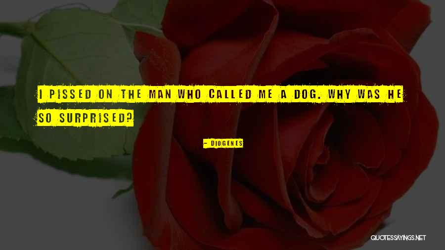 Boychick Bagels Quotes By Diogenes Boychick Bagels Quotes By Diogenes