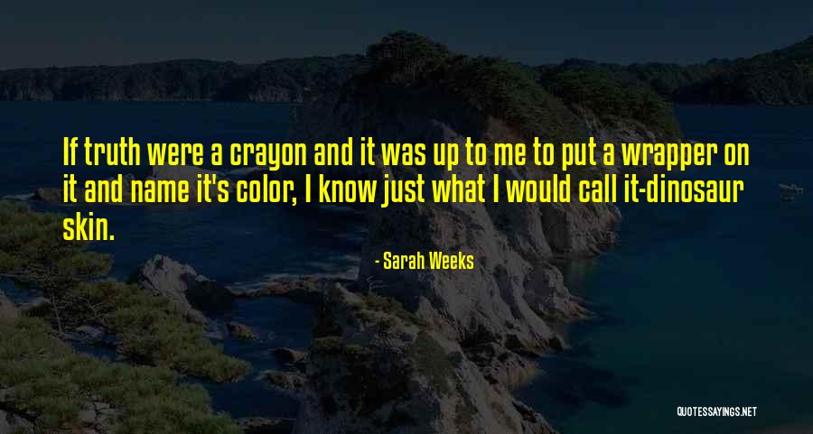 Boycotting The Nfl Quotes By Sarah Weeks