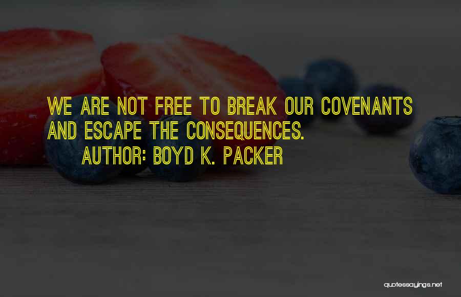 Boyd K. Packer Quotes 640583