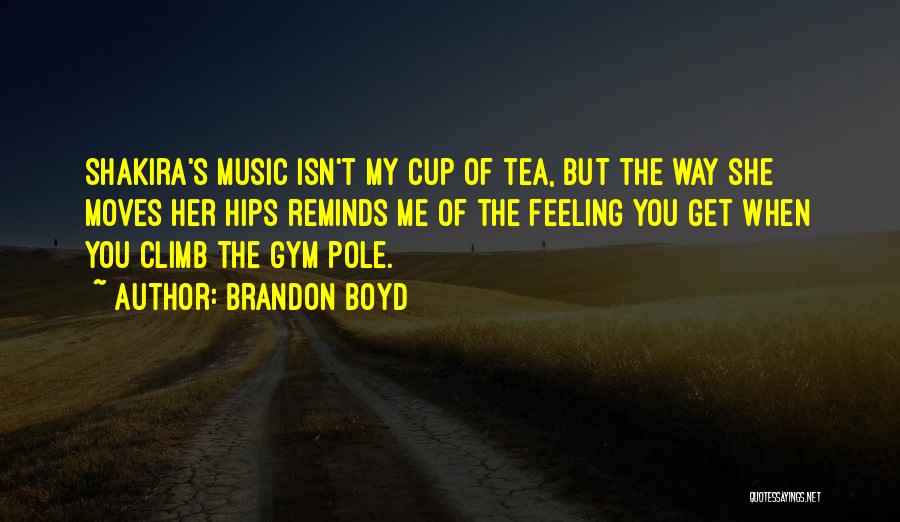 Boyd Quotes By Brandon Boyd