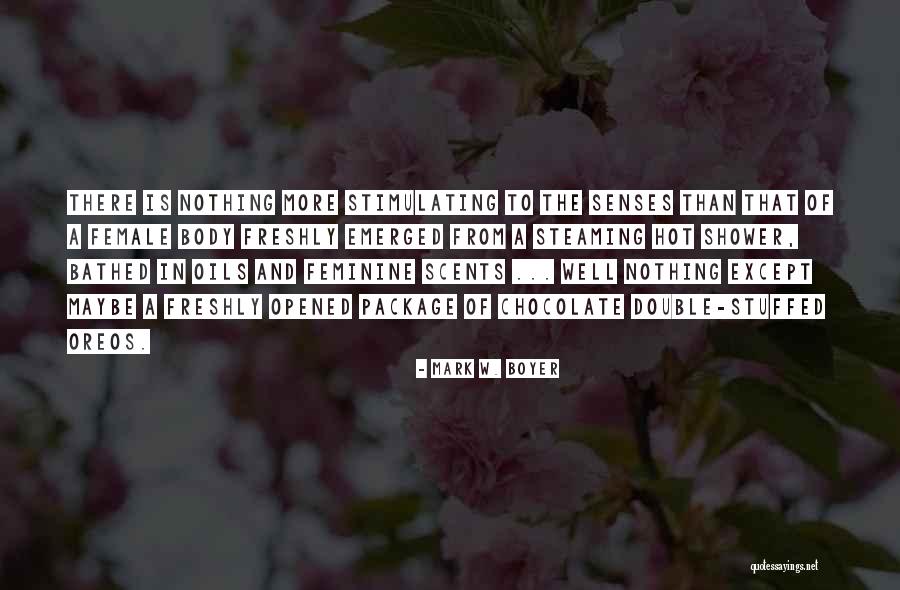Boyer Quotes By Mark W. Boyer Boyer Quotes By Mark W. Boyer