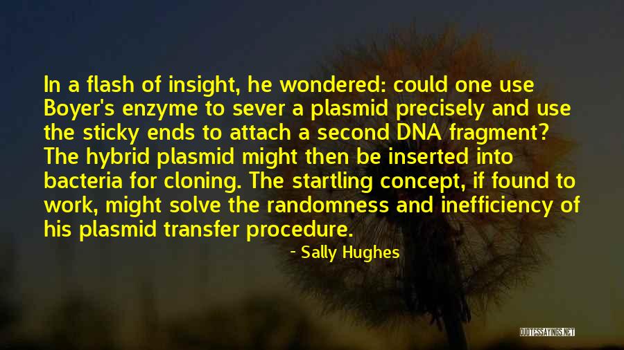 Boyer Quotes By Sally Hughes