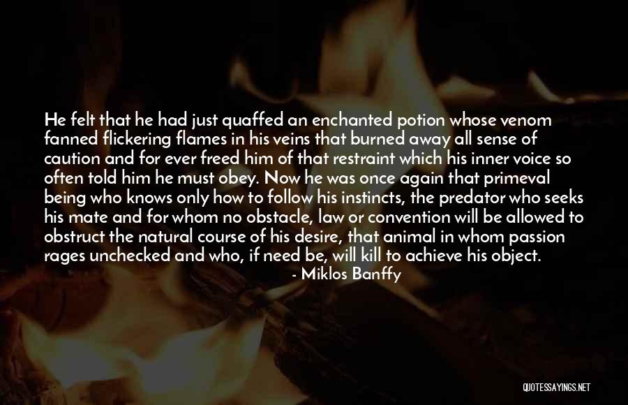 Boyfriend Upgrade Quotes By Miklos Banffy Boyfriend Upgrade Quotes By Miklos Banffy