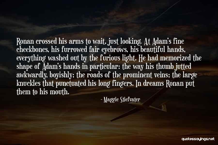Boyishly Quotes By Maggie Stiefvater Boyishly Quotes By Maggie Stiefvater
