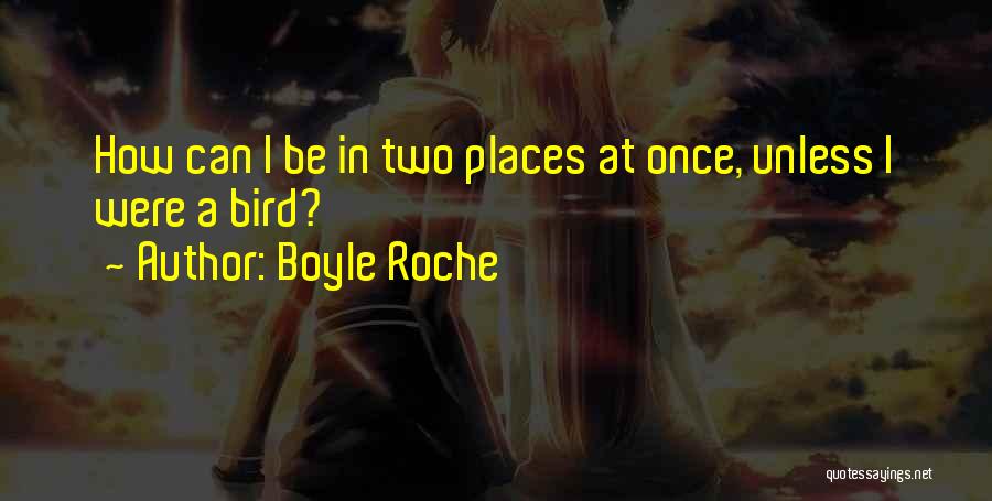 Boyle Roche Quotes 561244