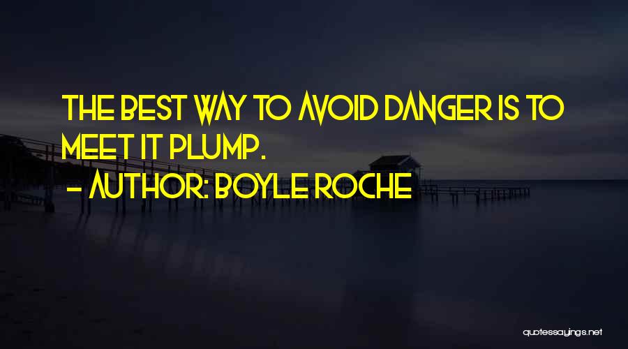 Boyle Roche Quotes 601698