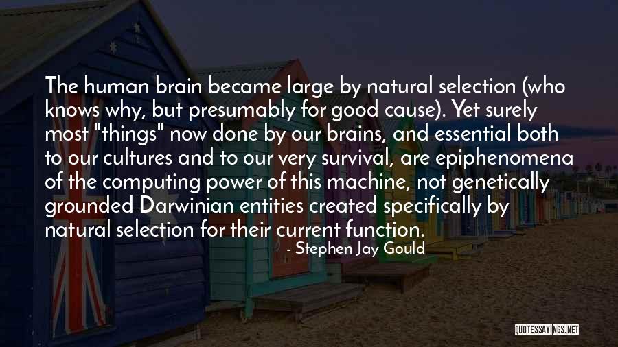 Boyman Acres Quotes By Stephen Jay Gould Boyman Acres Quotes By Stephen Jay Gould