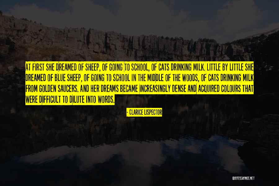 Boys Dont Cry Movie Quotes By Clarice Lispector Boys Dont Cry Movie Quotes By Clarice Lispector