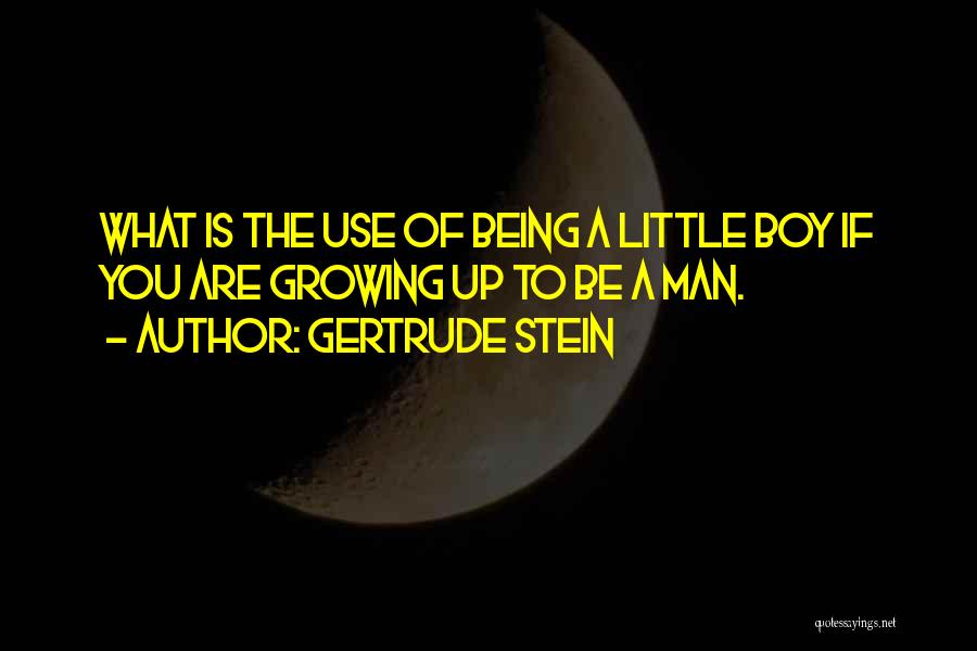 Boys Growing Into Men Quotes By Gertrude Stein