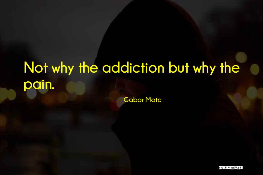 Bozanich Photography Quotes By Gabor Mate Bozanich Photography Quotes By Gabor Mate