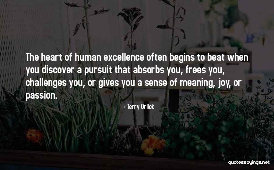 Bozica Bojovic Quotes By Terry Orlick Bozica Bojovic Quotes By Terry Orlick