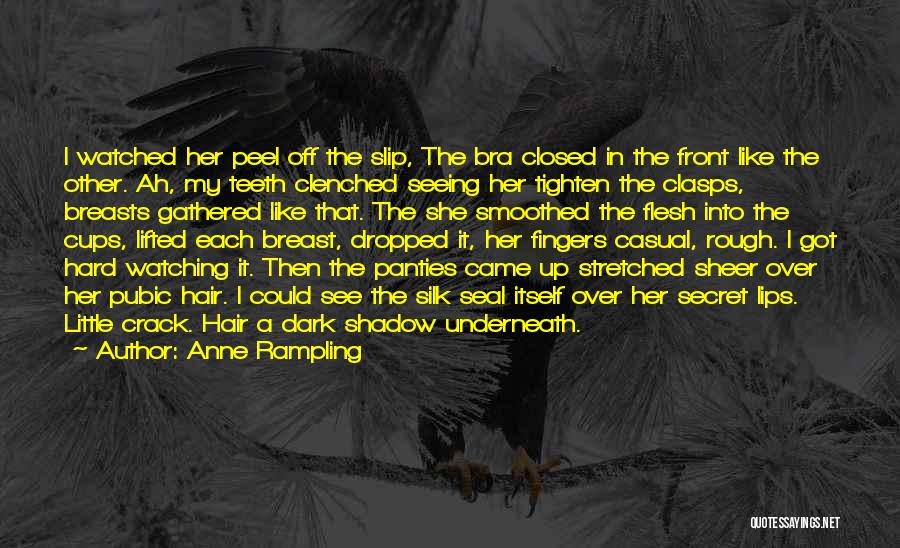 Bra And Panties Quotes By Anne Rampling