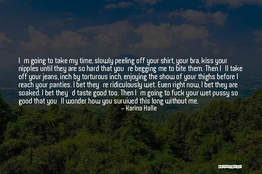 Bra And Panties Quotes By Karina Halle