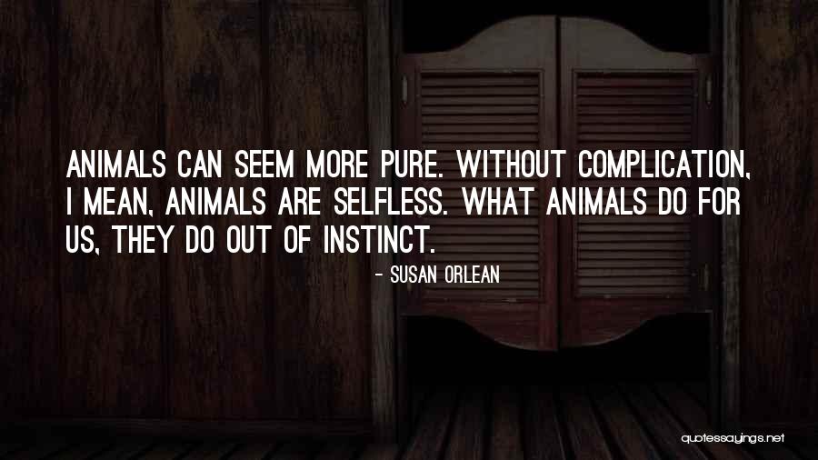 Braastad Electric Quotes By Susan Orlean Braastad Electric Quotes By Susan Orlean