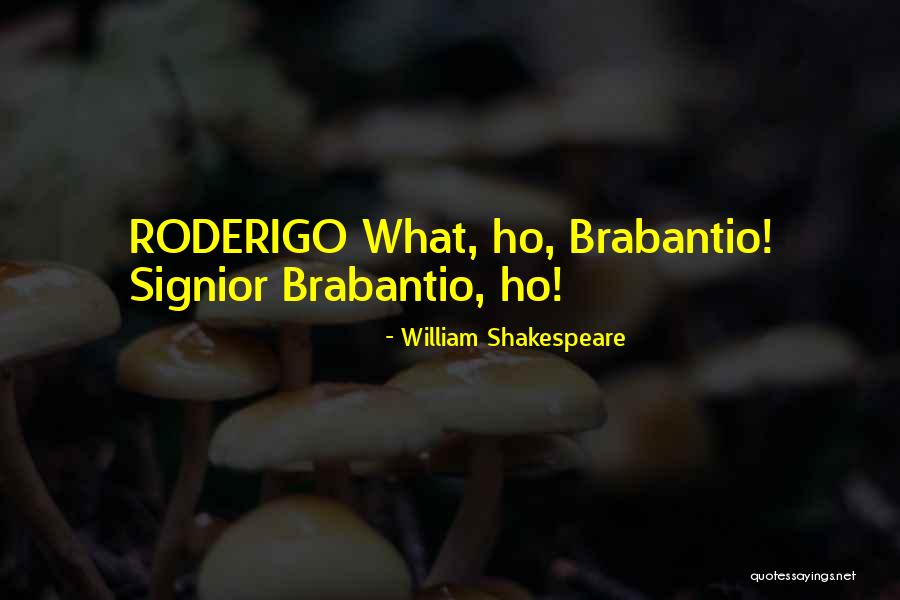 Brabantio Quotes By William Shakespeare