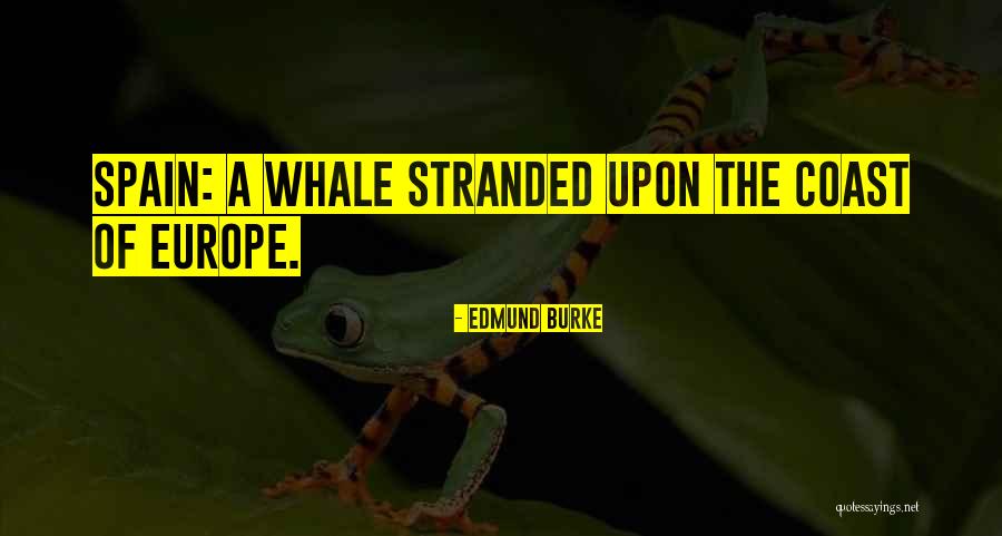 Bracciali Pandora Quotes By Edmund Burke Bracciali Pandora Quotes By Edmund Burke