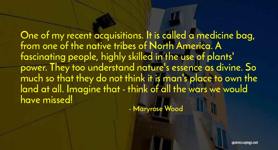 Braccini Quotes By Maryrose Wood Braccini Quotes By Maryrose Wood