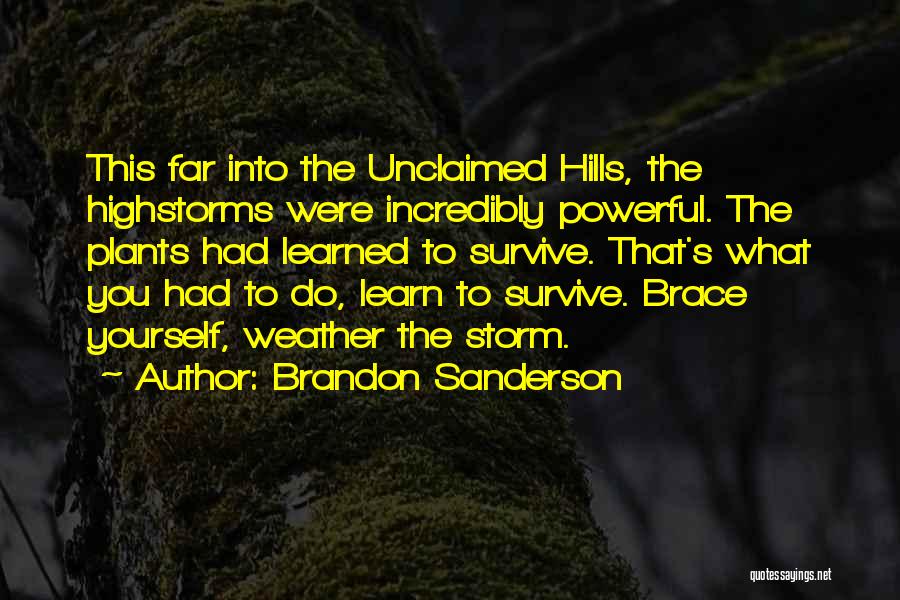 Brace Yourself Quotes By Brandon Sanderson